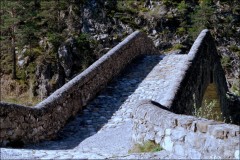 Un pont en Provence-PhotosLP Fallot-Avril 2011 (12).jpg