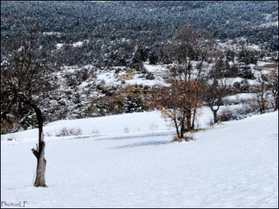 Méailles-Avril 2019-PhotosLP FALLOT (4).jpg