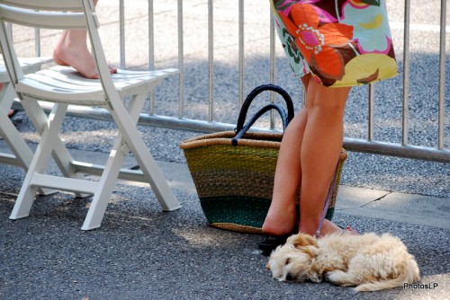 Tour de france à Cagnes sur Mer- PhotosLP (7).JPG