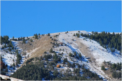 Première neige-PhotosLP-octobre 2010 (3).jpg