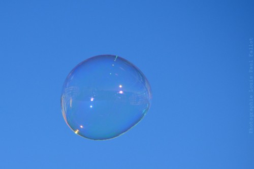 Bulles de Joy-PhotosLP Fallot (2).jpg