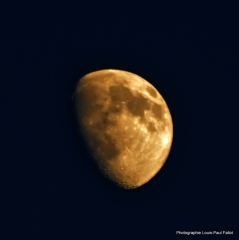 Lune visible à 68%-PhotosLP Fallot.jpg