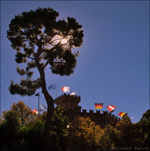 L'arbre du Haut de Cagnes-PhotosLP Fallot (4).jpg