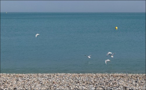 Cros de Cagnes le soir du 31 août 2012-PhotosLP Fallot (1).jpg