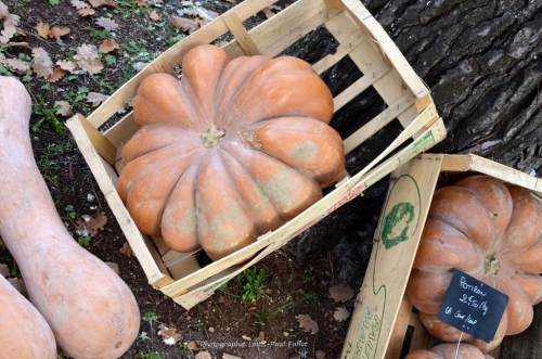 artgriculture,une oeuvre pour la planète,saint paul de vence,kiki giuliana