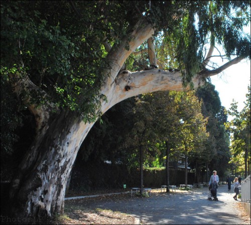 Berges de la Cagne-photosLP Fallot.jpg