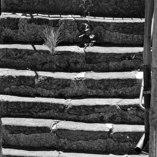 escalier_de mer à monts_LP Fallot_éditions Baie des anges.jpg