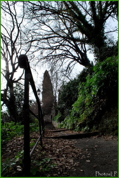 Chemin de Monsieur-Haut de Cagnes-Photo LP Fallot.jpg