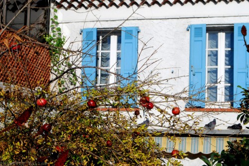 Cros de Cagnes- hors saison-PhotosLP Fallot (6).jpg