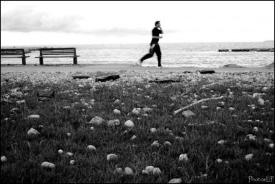 LE CROS DE CAGNES APRES LA TEMPETE-MAI 2010-PhotosLP FALLOT (3).jpg