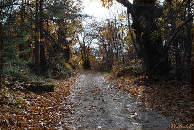 Quand la route devient chemin-PhotosLP Fallot-2010 (6).jpg