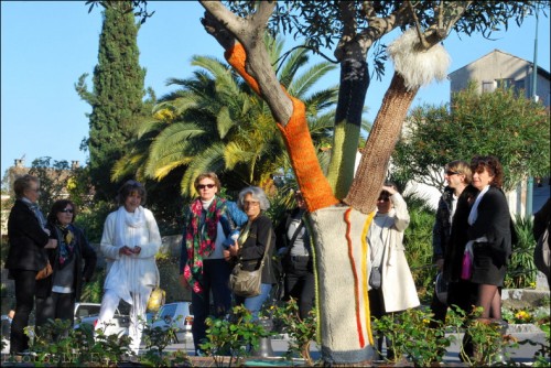 Arbres-Tricot-Haut de Cagnes-Avril 2011-PhotosLP Fallot (7).jpg