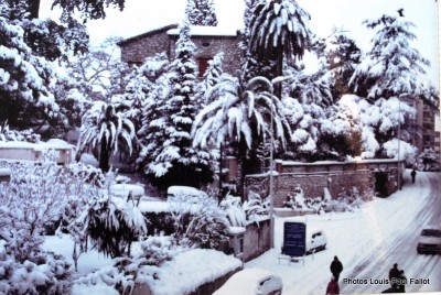 Cagnes et la neige en 1985--Photos Louis-Paul FALLOT (18).jpg