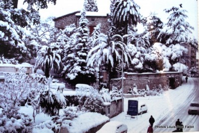 Cagnes et la neige en 1985--Photos Louis-Paul FALLOT (18).jpg